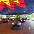 IMG_1181616