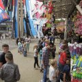 IMG_1181705
