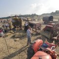 IMG_1182996