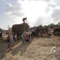 IMG_1183058