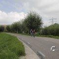 IMG_1181975