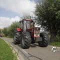 IMG_1182116