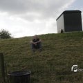 IMG_1182146