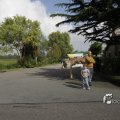 IMG_1182151