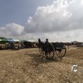 IMG_1182238