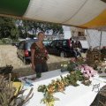 IMG_1182243