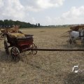 IMG_1182298