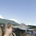 IMG_1182311