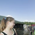 IMG_1182312