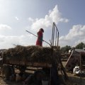 IMG_1182412