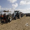 IMG_1182764