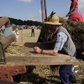 IMG_1182792