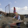 IMG_1182801