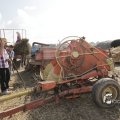 IMG_1182815