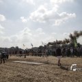 IMG_1182818