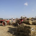 IMG_1182964