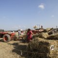 IMG_1182965