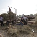 IMG_1182988