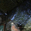 IMG_1183015