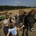 IMG_1183027