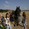 IMG_1183037