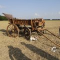 IMG_1183053
