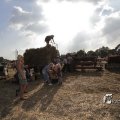 IMG_1183058