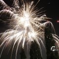 IMG_1183531
