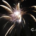 IMG_1183543