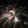 IMG_1183546