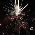 IMG_1183548