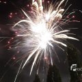 IMG_1183550