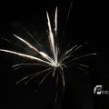 IMG_1183552