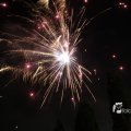 IMG_1183553