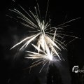 IMG_1183556