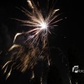 IMG_1183557