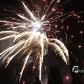 IMG_1183558