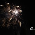 IMG_1183559