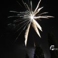 IMG_1183562