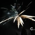 IMG_1183565