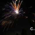 IMG_1183571