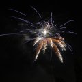 IMG_1183579