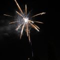 IMG_1183584