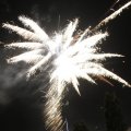 IMG_1183585