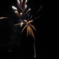IMG_1183594