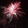 IMG_1183595