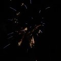 IMG_1183602