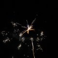IMG_1183603