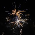 IMG_1183604