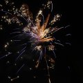 IMG_1183607